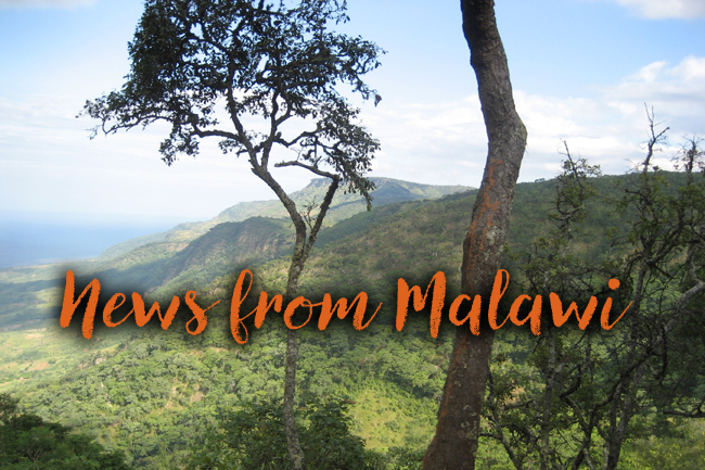 News from Malawi